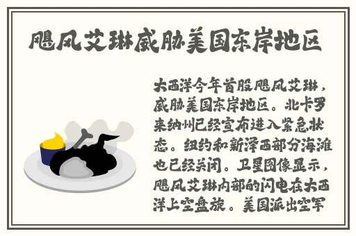 91精品麻豆日日躁夜夜躁